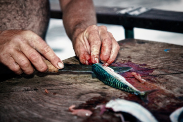 Филейные ножи для рыбы